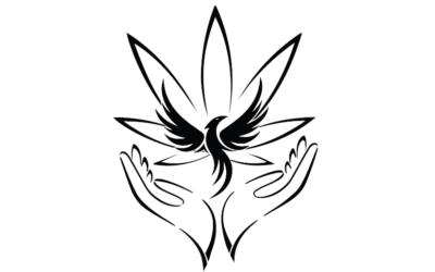 Legalisierung